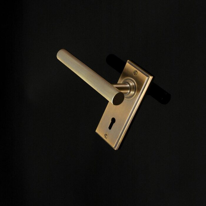 Kensington Door Handle - Image 68