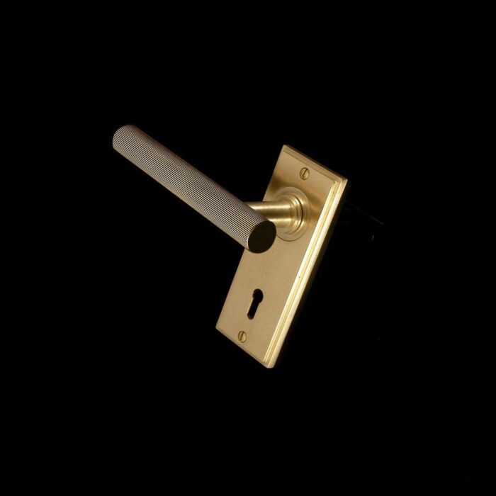 Kensington Door Handle - Image 72
