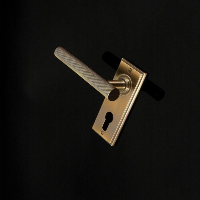 Kensington Door Handle - Image 86