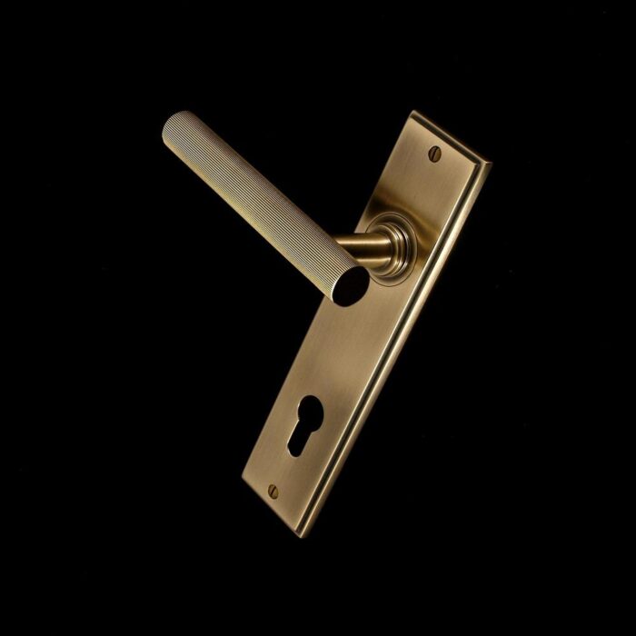 Kensington Door Handle - Image 166