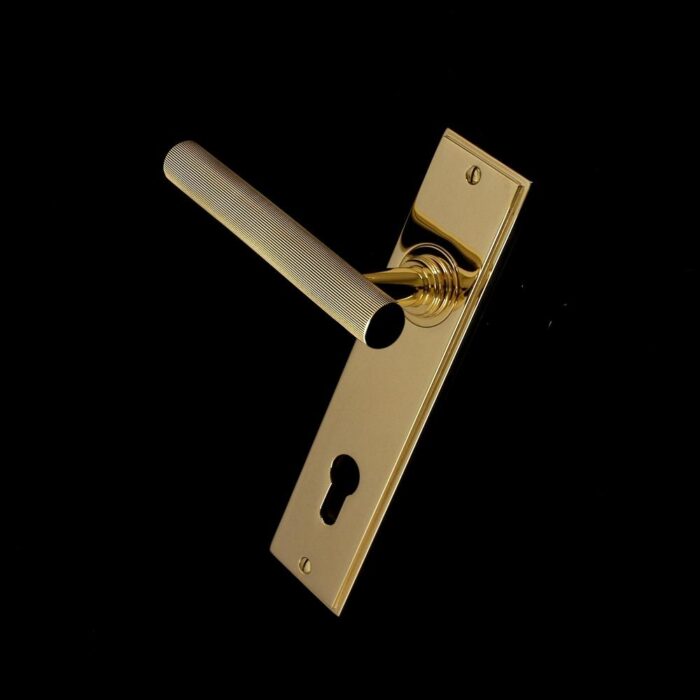 Kensington Door Handle - Image 168