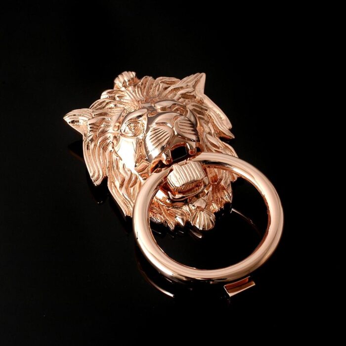 Lion Head Ring Knocker - Image 10