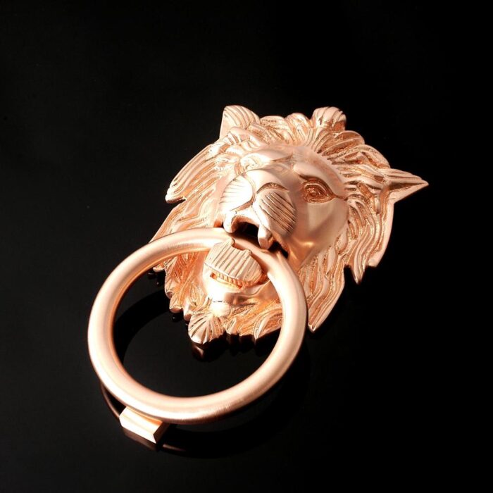 Lion Head Ring Knocker - Image 14
